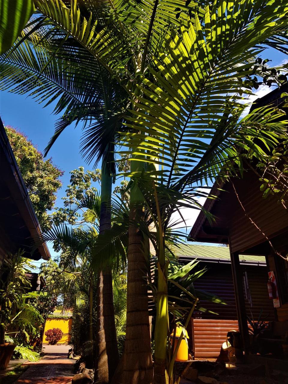 Si Mi Capitan - Cabanas & Habitaciones Puerto Iguazu Exterior photo